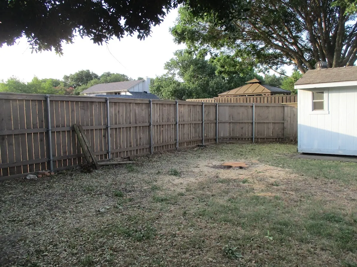 Cleared yard after professional tree removal in Townsend